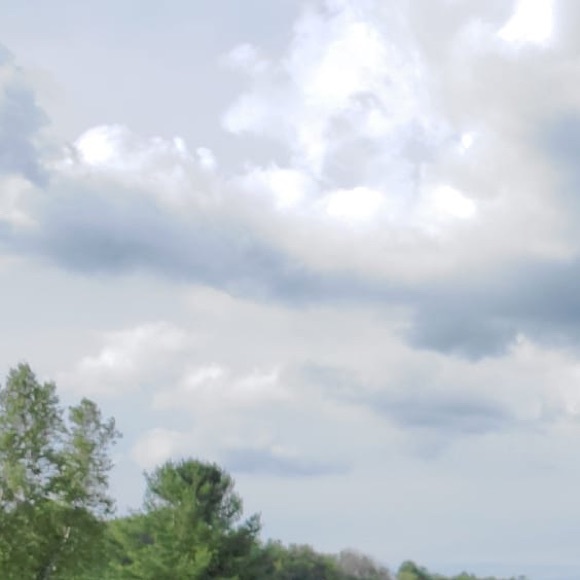 Meet your Posher, Shira - Picture 1 of 1